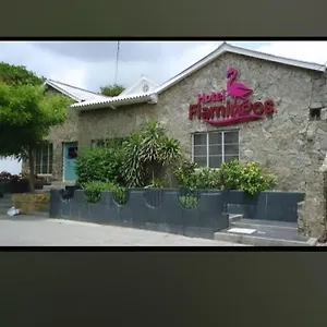 https://flamingo.hotels-in-barranquilla.com